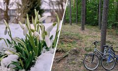 Taki ma być początek wiosny w prognozie. Ale namiesza wir polarny