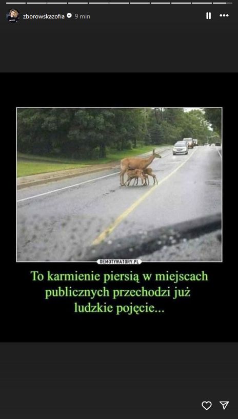 Zofia Zborowska reaguje na zamieszanie pod ostatnim zdjęciem