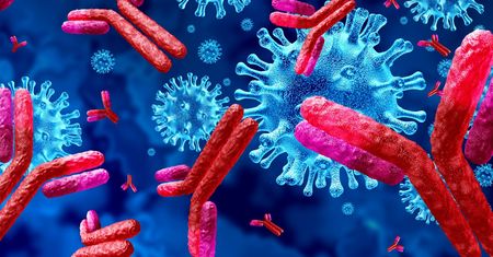 Immunoglobuliny igG – charakterystyka, badanie, interpretacja wyników