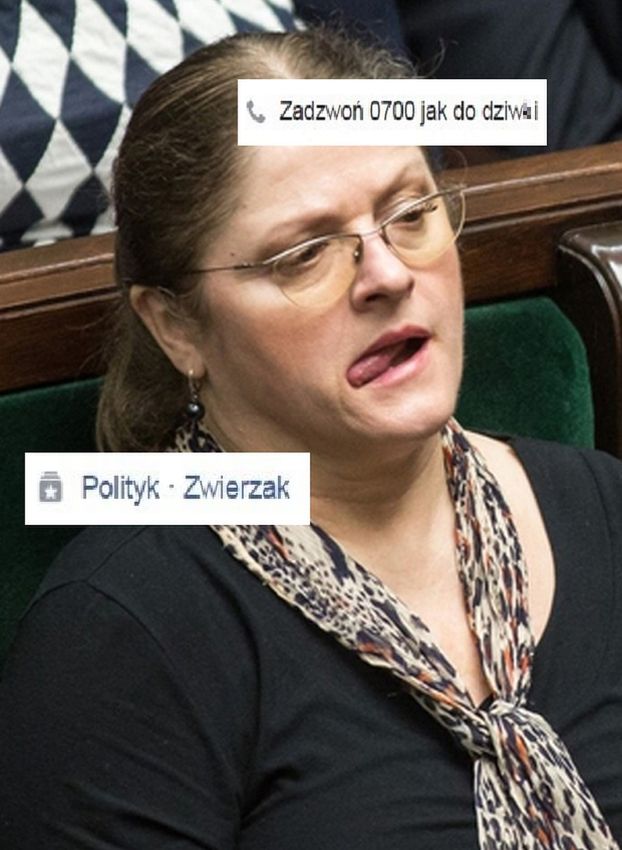Krystyna Pawłowicz zachęca (?) na Facebooku: "Zadzwoń 0700 jak do dziw*i"