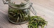 Od kuchni po kosmetyki – wszechstronny rozmaryn
