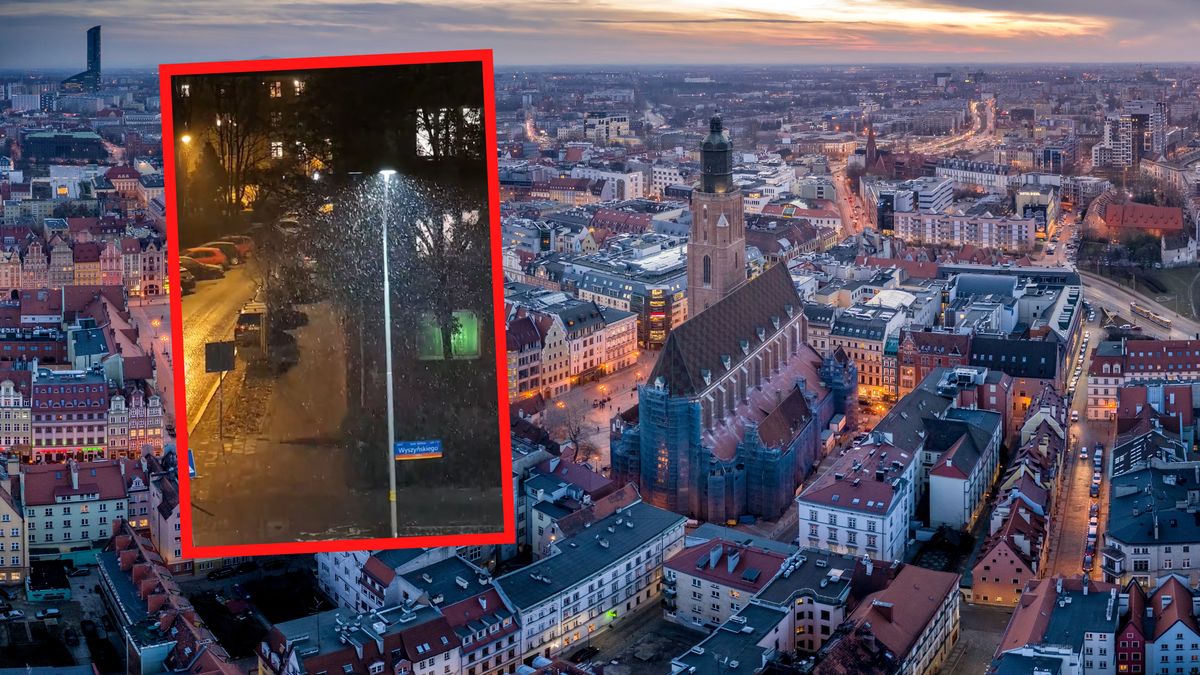 We Wrocławiu spadł śnieg