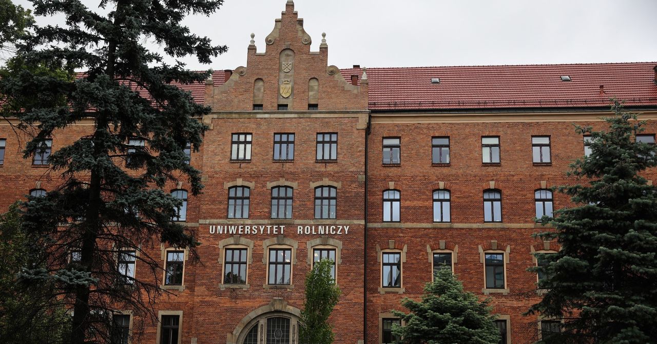 Kraków: Weterynaria - hit rekrutacji na Uniwersytecie Rolniczym. Blisko dziewięciu kandydatów na jedno miejsce