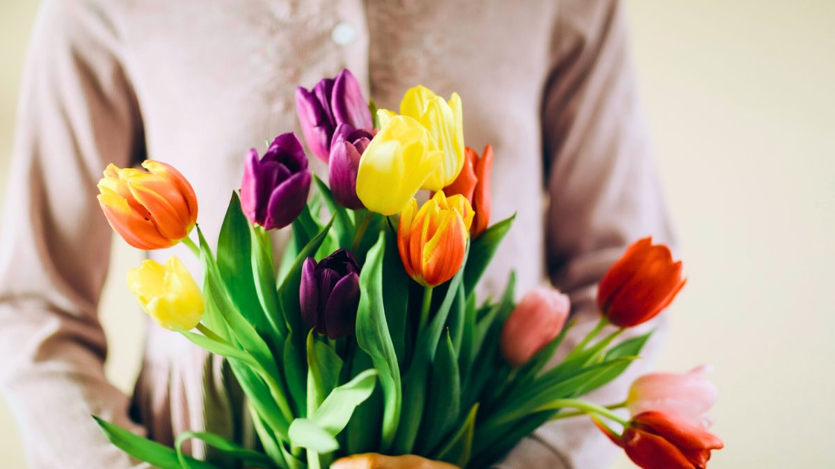 Bukiet tulipanów na Dzień Kobiet.