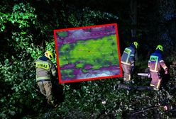 Niż Nadine już w Polsce. RCB i IMGW wydało alerty