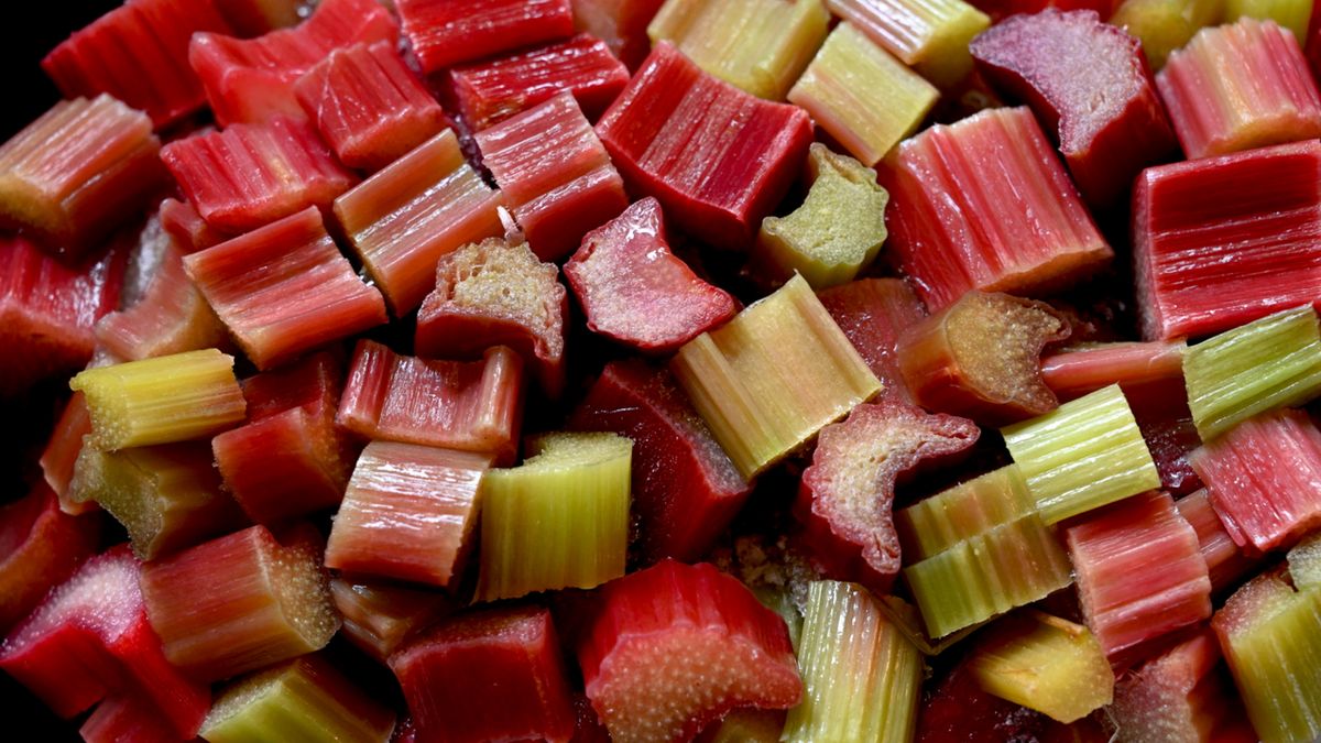 Kwaśno-cierpki smak do walki z nowotworem. Obiecujące wyniki badań nad rabarbarem