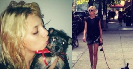 Anja Rubik adoptowała psa! (FOTO)
