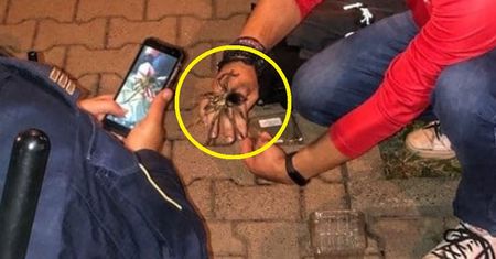 To nie jest zdjęcie z tropików. Zrobiono je pod blokiem w Krakowie