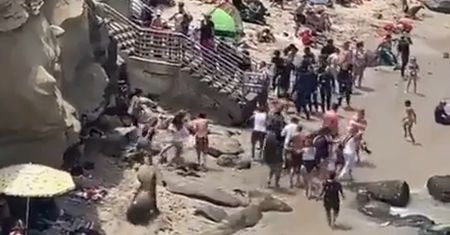 Odpoczywali spokojnie na plaży. Nagle lwy morskie ruszyły w ich stronę [WIDEO]