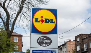 Lidl buduje wielki magazyn. Sieć szuka 200 pracowników