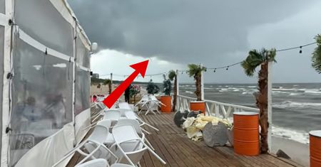 Aż zaczął nagrywać. Taki widok w Międzyzdrojach