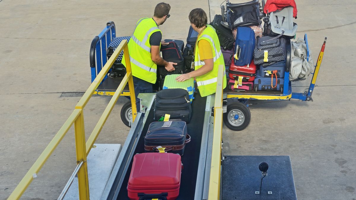 Tomasz Warszewski
lotnisko, samolot, bagaż, walizka, walizki, odprawa, podróż, praca, pracownik, torba, wakacje, czarter, wózek, lotniskowy
