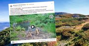 Niezwykła scena uchwycona przez fotopułapkę. "Nie mogę się napatrzeć"