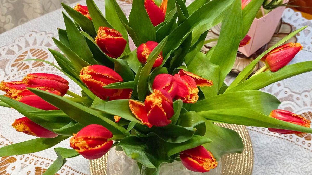 Tulipany w wazonie stoją długo 