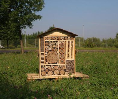 Gliwice. Hotel jak drugi dom, ale też ratunek przed zagładą
