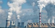 Polskie elektrownie na polskim węglu. Dane ministerstwa