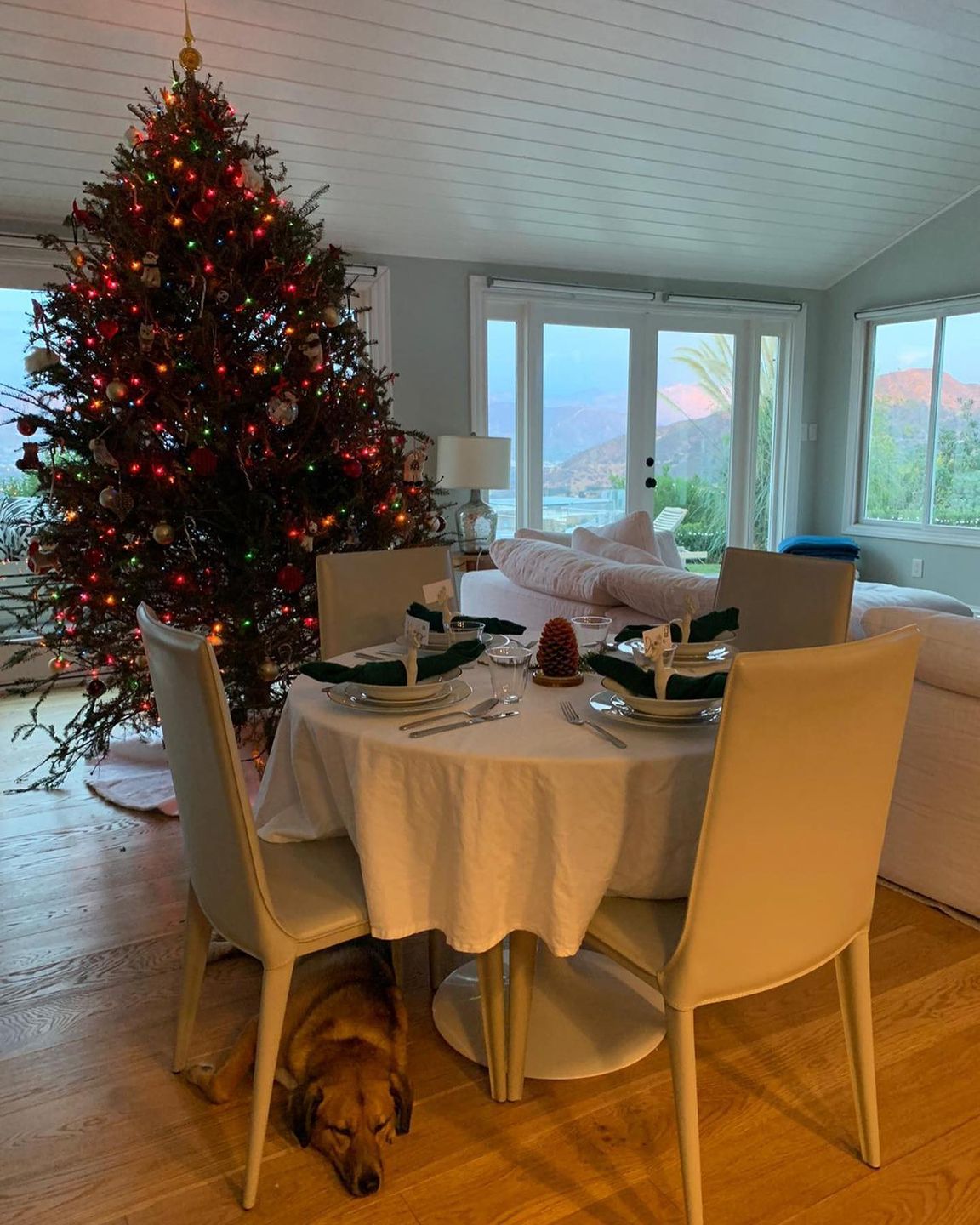 Dom Alicji Bachledy-Curuś