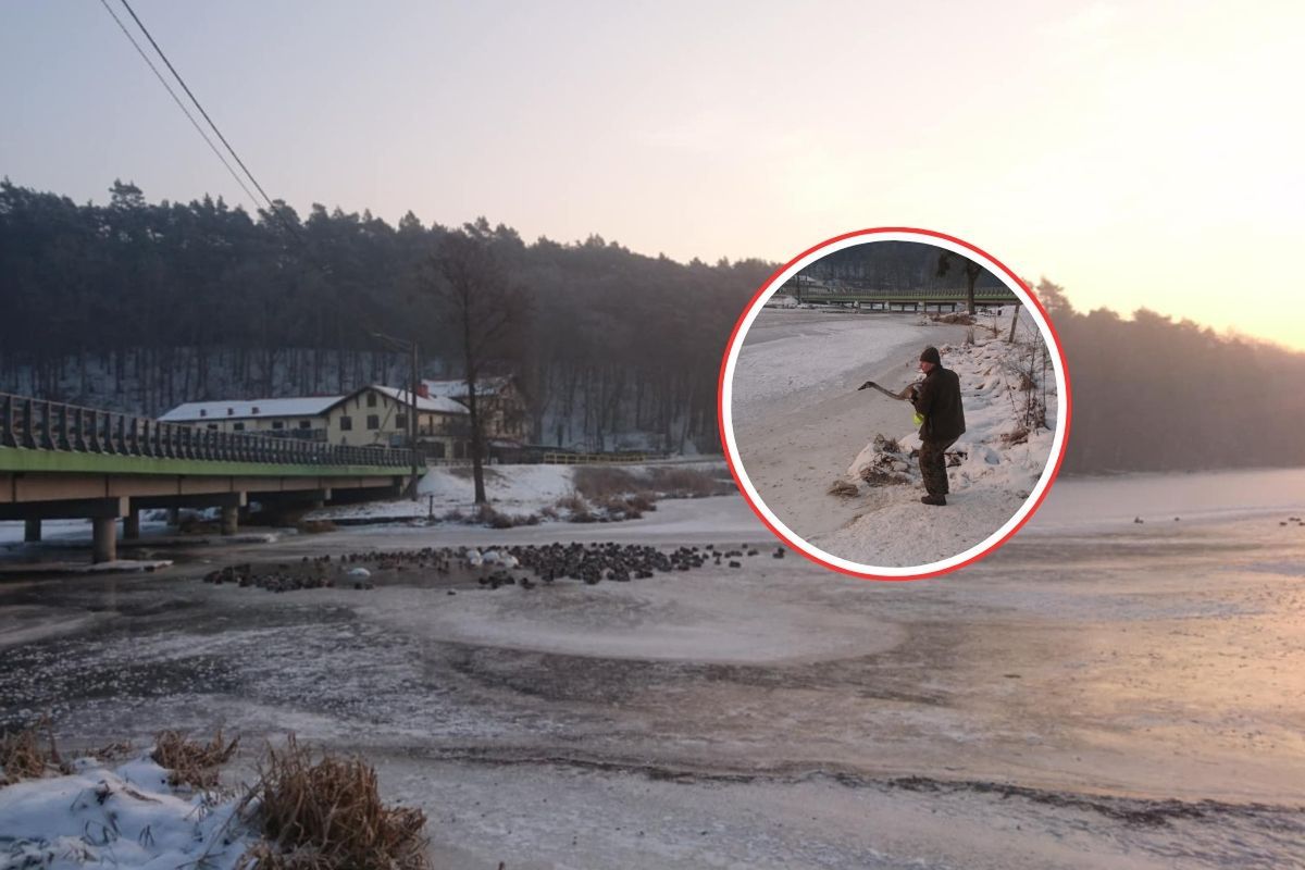 Siedział sam w lesie. Wypatrzyli go leśnicy. Dołączył do innych