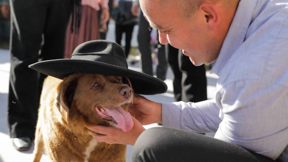 Najstarszy pies świata miał niezwykle łagodne usposobienie. Na zdjęciu ze swoim panem, Leonelem Costa