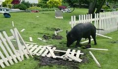 Pralka, telewizor i dzik w reklamach ubezpieczenia PZU Dom (wideo)