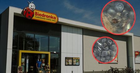 Klienci Biedronki znów skarżą się na pleśń. Zaskakująca odpowiedź sieci