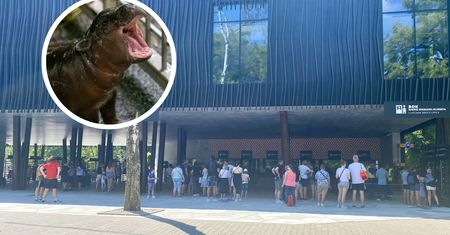 Sensacja w łódzkim zoo. "Pierwszy raz w historii"