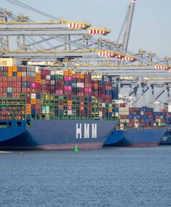 Polak utonął w zatoce w Rotterdamie. "Poszedł się ochłodzić"