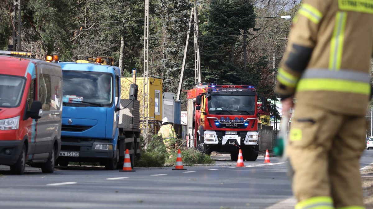 usuwanie skutk�w wichuryWarszawa, 19.02.2022. Stra�acy usuwaj� powalone przez wichur� drzewa w warszawskiej Falenicy, 19 bm. (amb) PAP/Leszek Szyma�skiLeszek Szyma�skiorkan, pogoda, silny wiatr, szkody, wiatr, wichura, zniszczenia