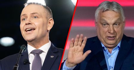 Nokaut Orbána. Ustalenia WP: Pałac szykuje gratulacje dla Magyara