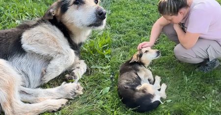 Wrócili do domu po ewakuacji. Oto co zastali na dachu