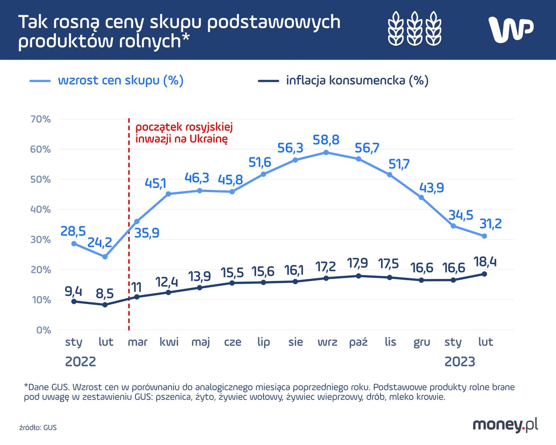 Ceny produktów rolnych w skupie w miesiącach po inwazji Rosji na Ukrainę, rosły nawet blisko 60 proc. rok do roku