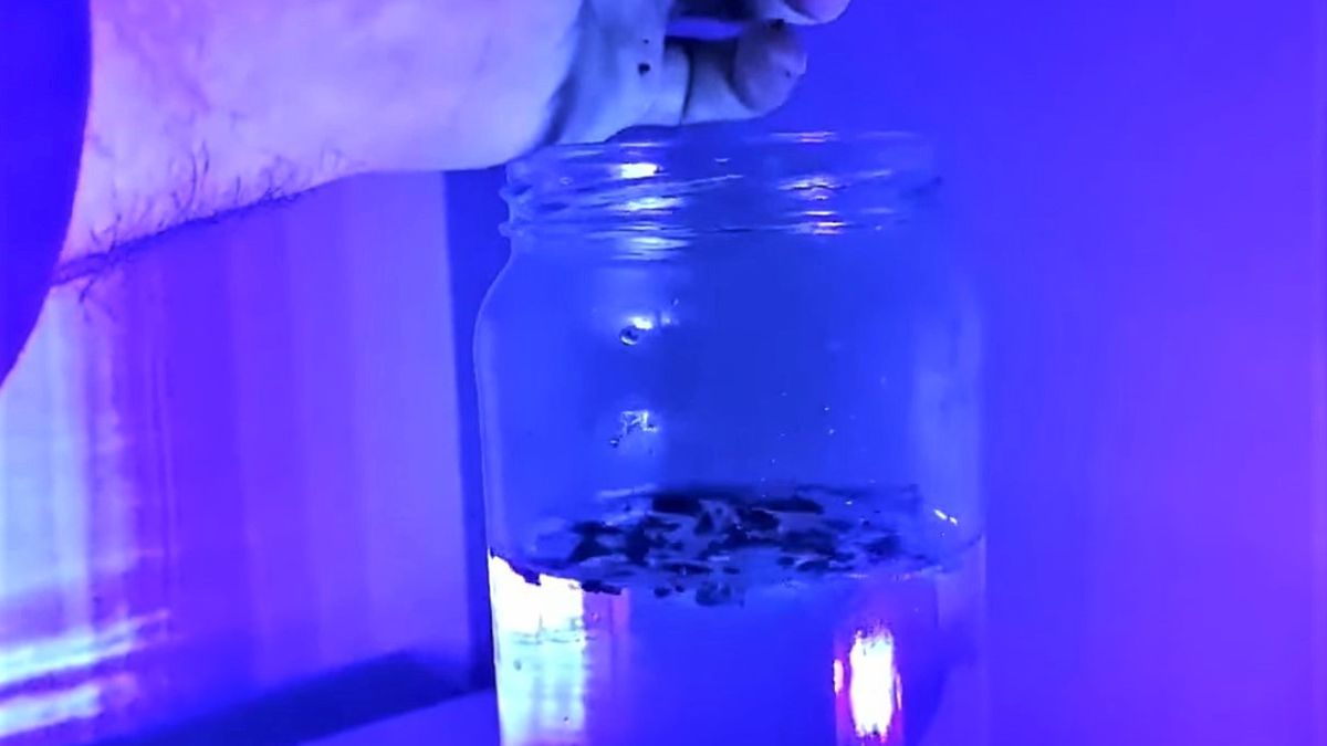 Leśnicy podzielili się sposobem na zabawę, która może być alternatywą dla fajerwerków 