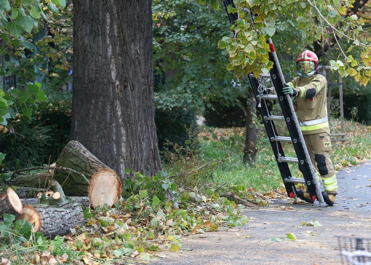 Lubelskie: Jesienne burze. Strażacy interweniowali ponad 60 razy
