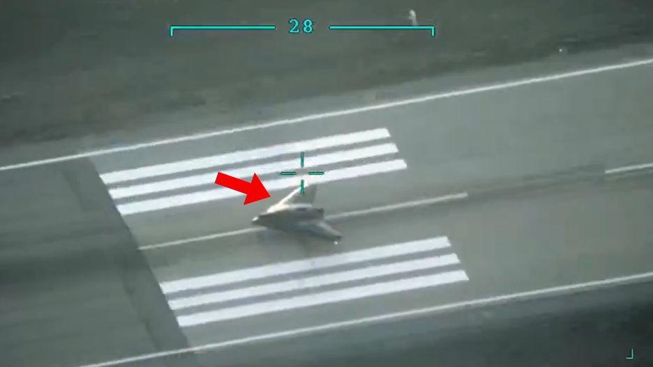 Dron Anka-3