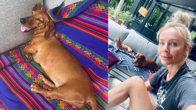  Zobaczcie jak mieszka Agnieszka Woźniak-Starak! 