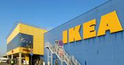 Ikea zetnie ceny w Polsce. "Jeden z kluczowych priorytetów"