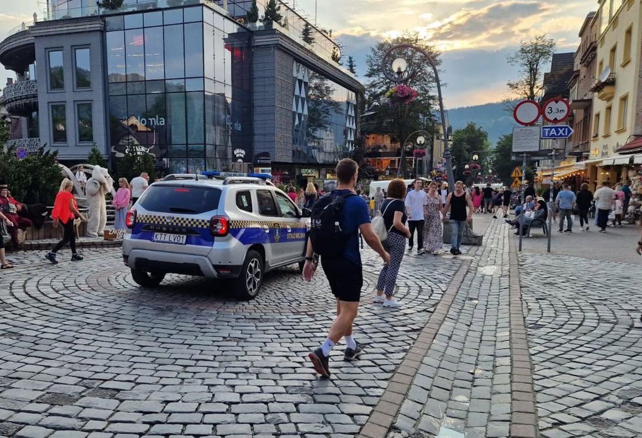 Turyści oszukują strażników w Zakopanem. Mundurowi dostali nowe narzędzie
