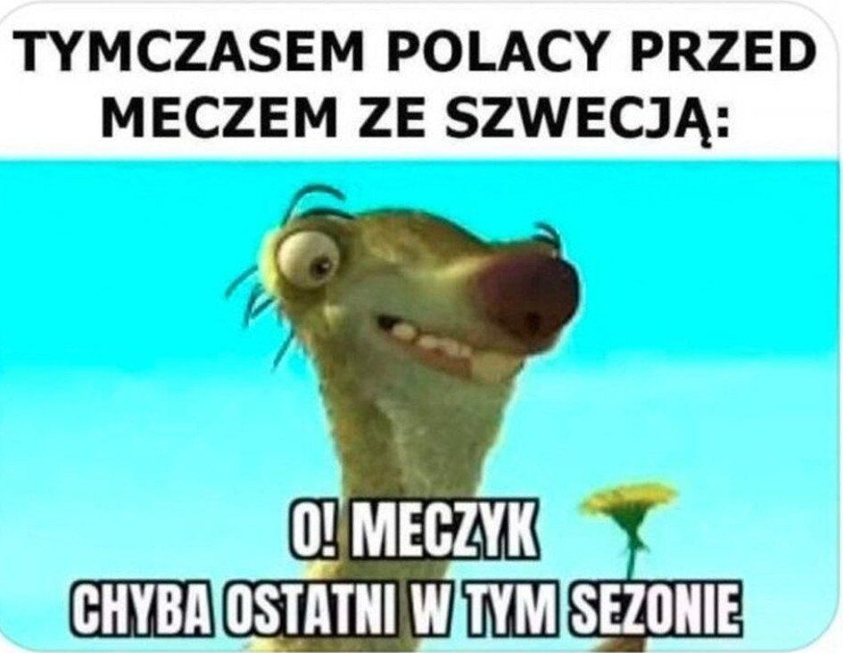 Memy po meczu Polska-Szwecja