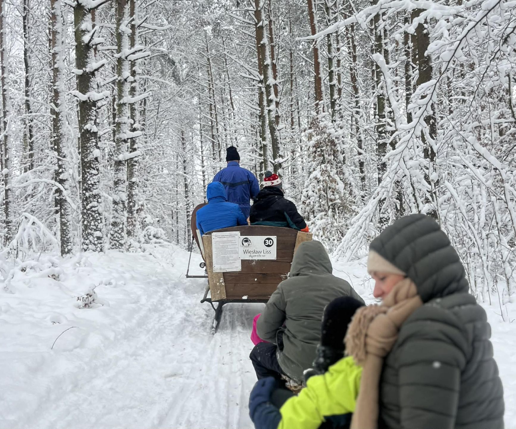 Zimowy las na Kaszubach