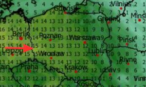 Wiosenna aura trwa. Na termometrach nawet 15 stopni