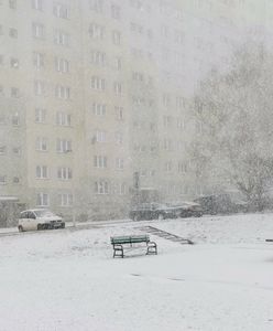 Pogoda w weekend. Spektakularny powrót zimy