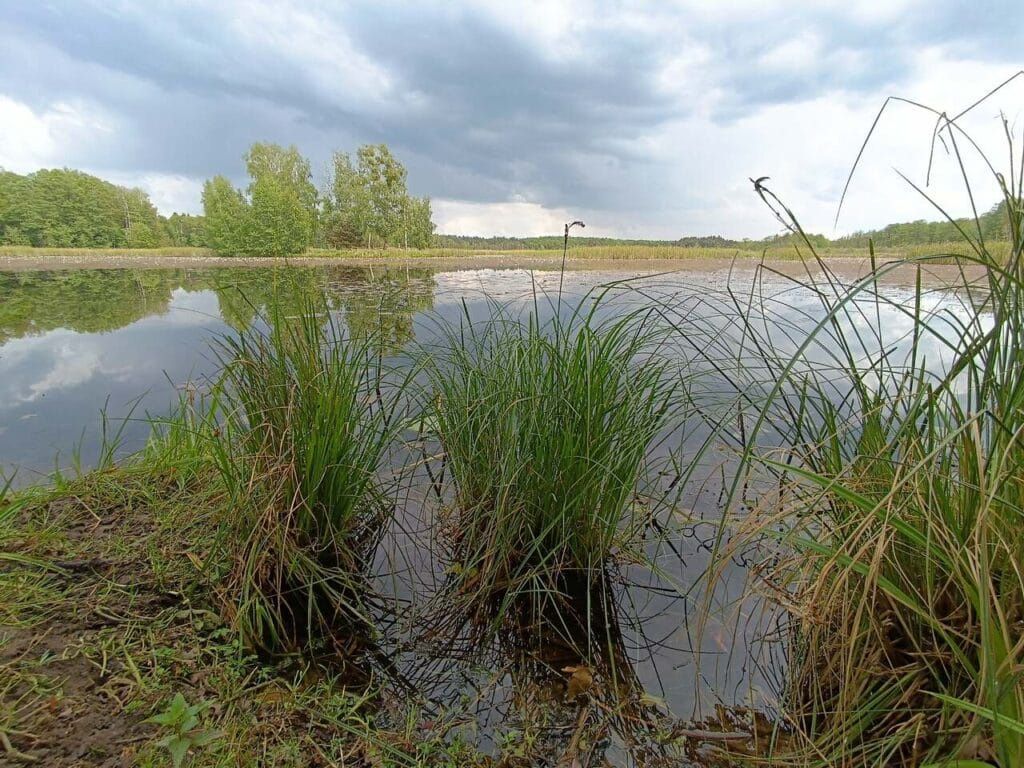 Park Krajobrazowy Lasy nad Górną Liswartą
