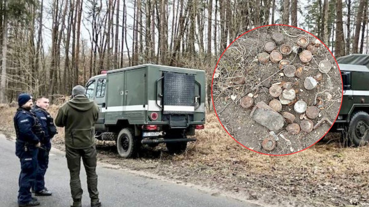 Dziki wykopały 21 pocisków moździerzowych