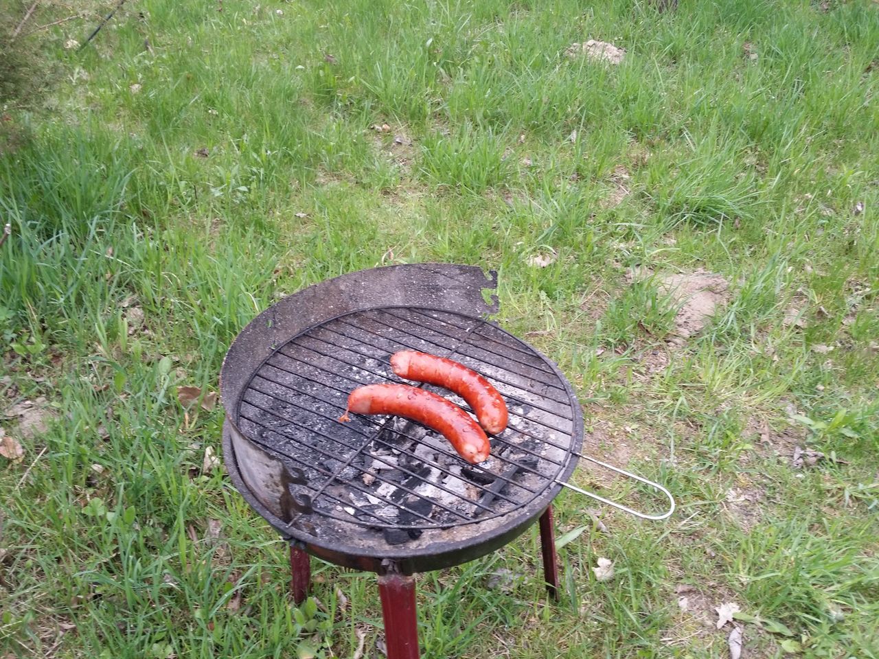 Przyłapani zapłacą do 5000 zł. Zakazane podczas grillowania