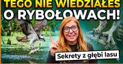 Tego nie wiedziałeś o rybołowach