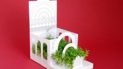 Pocztówka zamieniająca się w żywy ogród (wideo) 1