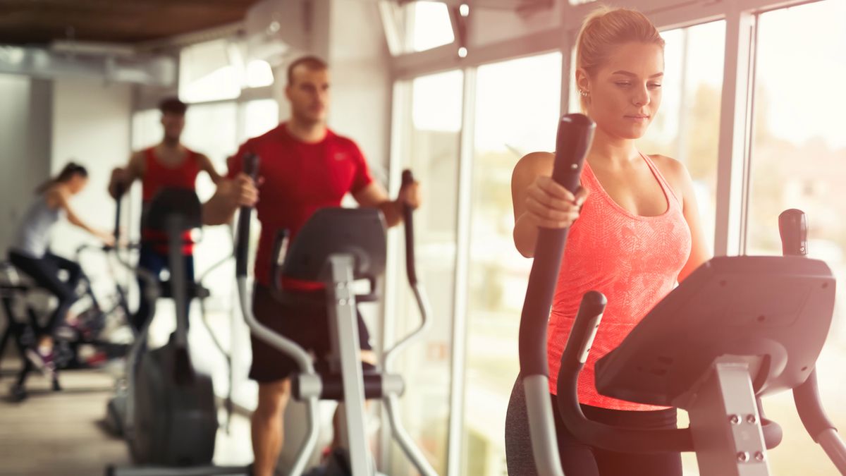 Orbitreki do 2500 zł 1