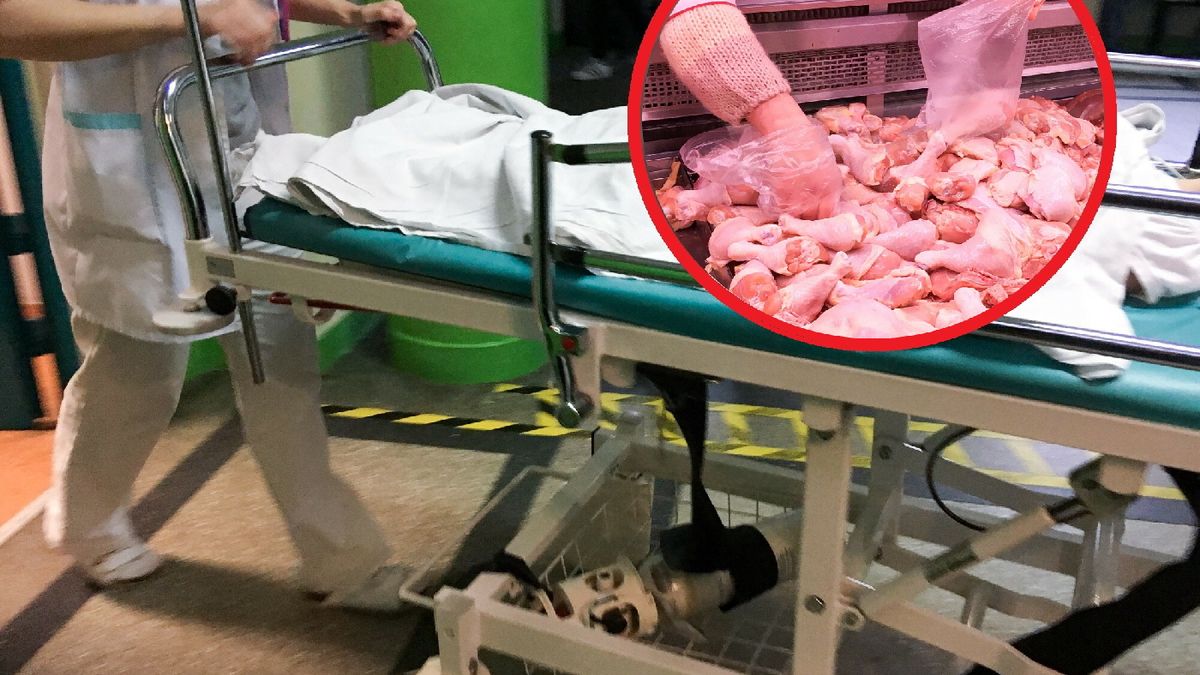Czteroletnie dziecko trafiło do szpitala. Zaraziło się ptasią grypą