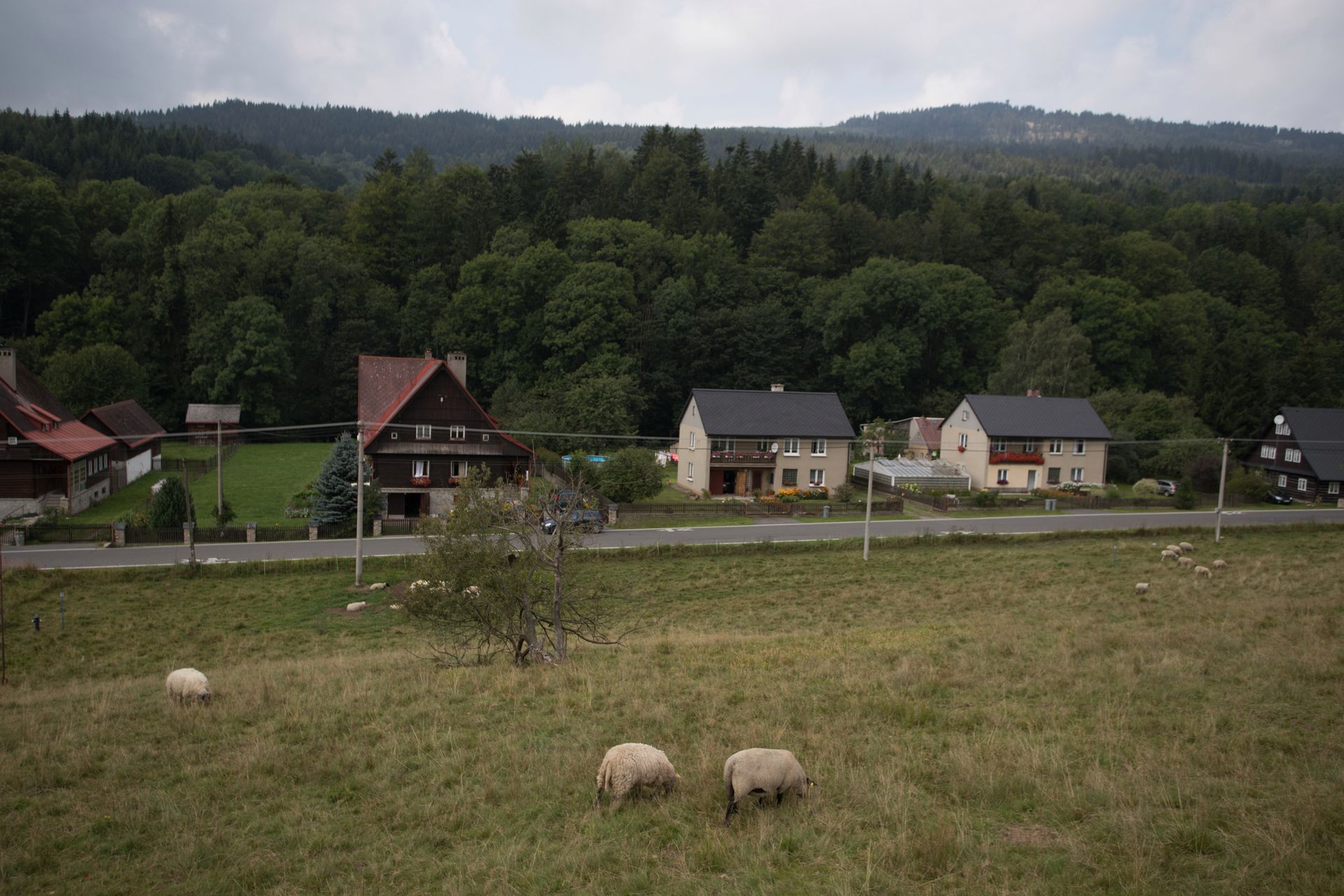 Canon EOS 6D Mark II - test następcy popopularnej pełnoklatkowej lustrzanki 217