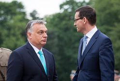 PiS i weto w UE. "Die Welt": dyktatorska nadopiekuńczość Unii wobec Polski